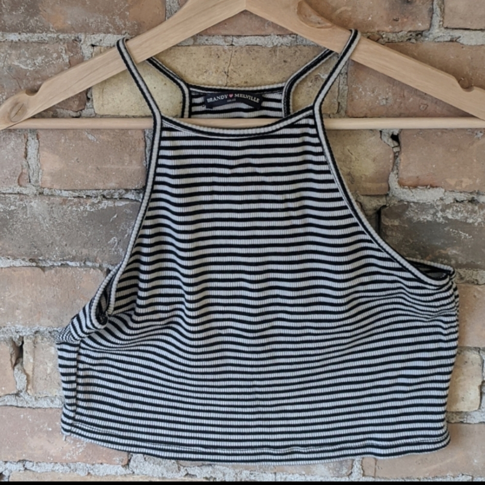 Brandy Melville Crop Top